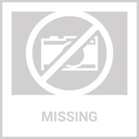 3000 FT Dog Training US Collar Rechargeable Remote Shock PET Waterproof Trainer (Option: For1Dog)