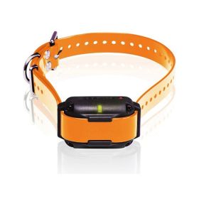 Dogtra Edge (Option: RT Trainer Extra Collar)
